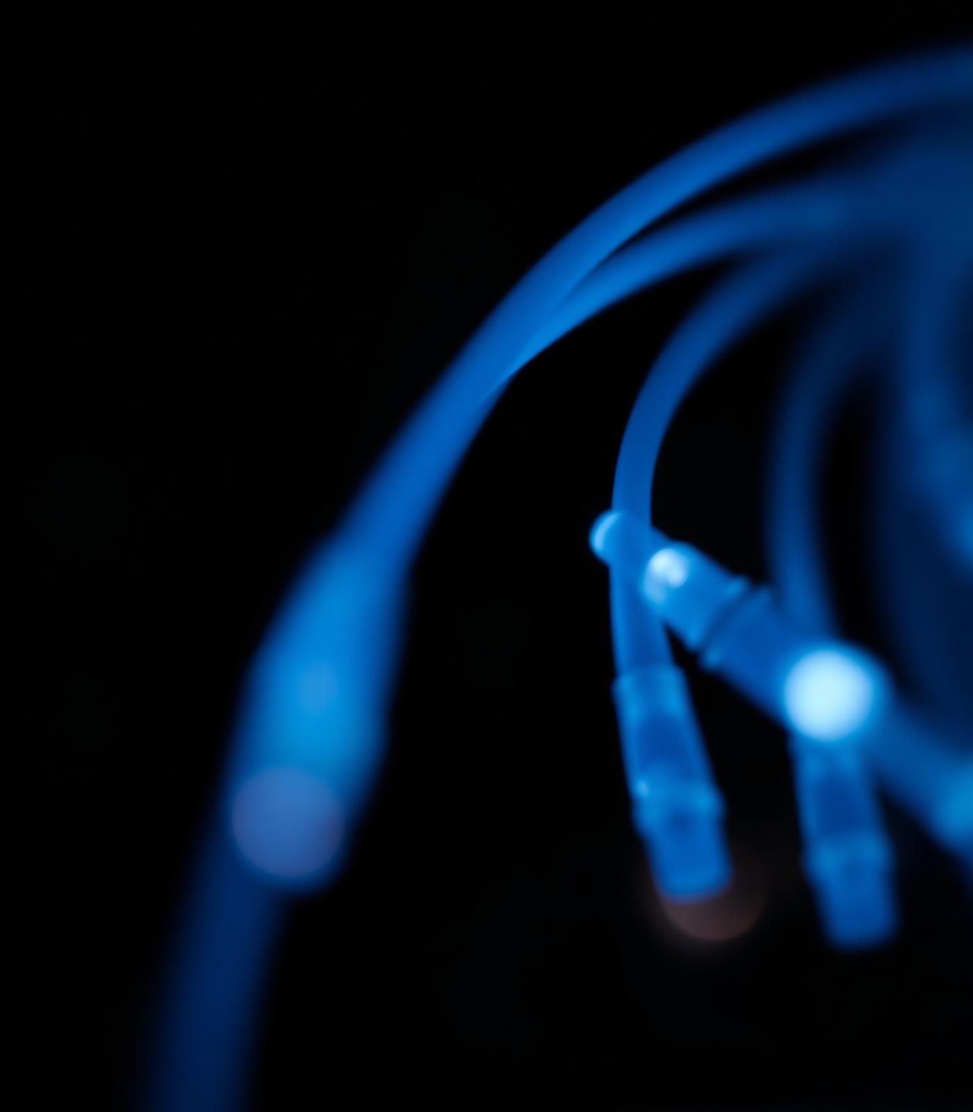 Macro photograph of illuminated fiber-optic cables against a dark background